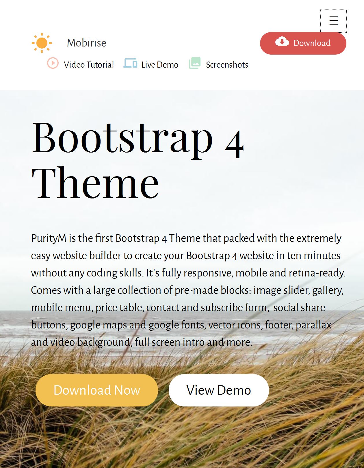 Minimal Bootstrap Template