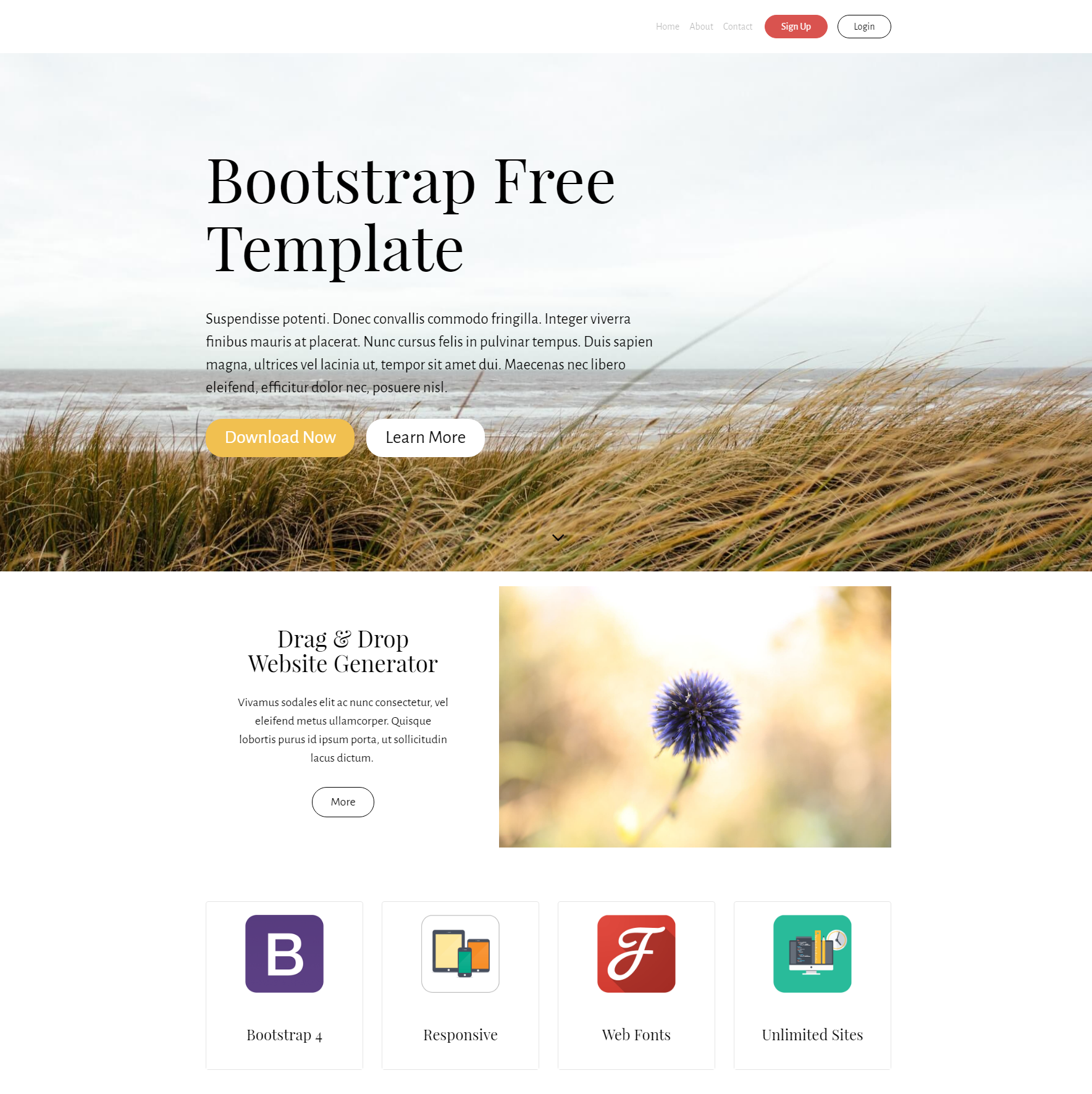 Download Bootstrap Free Themes