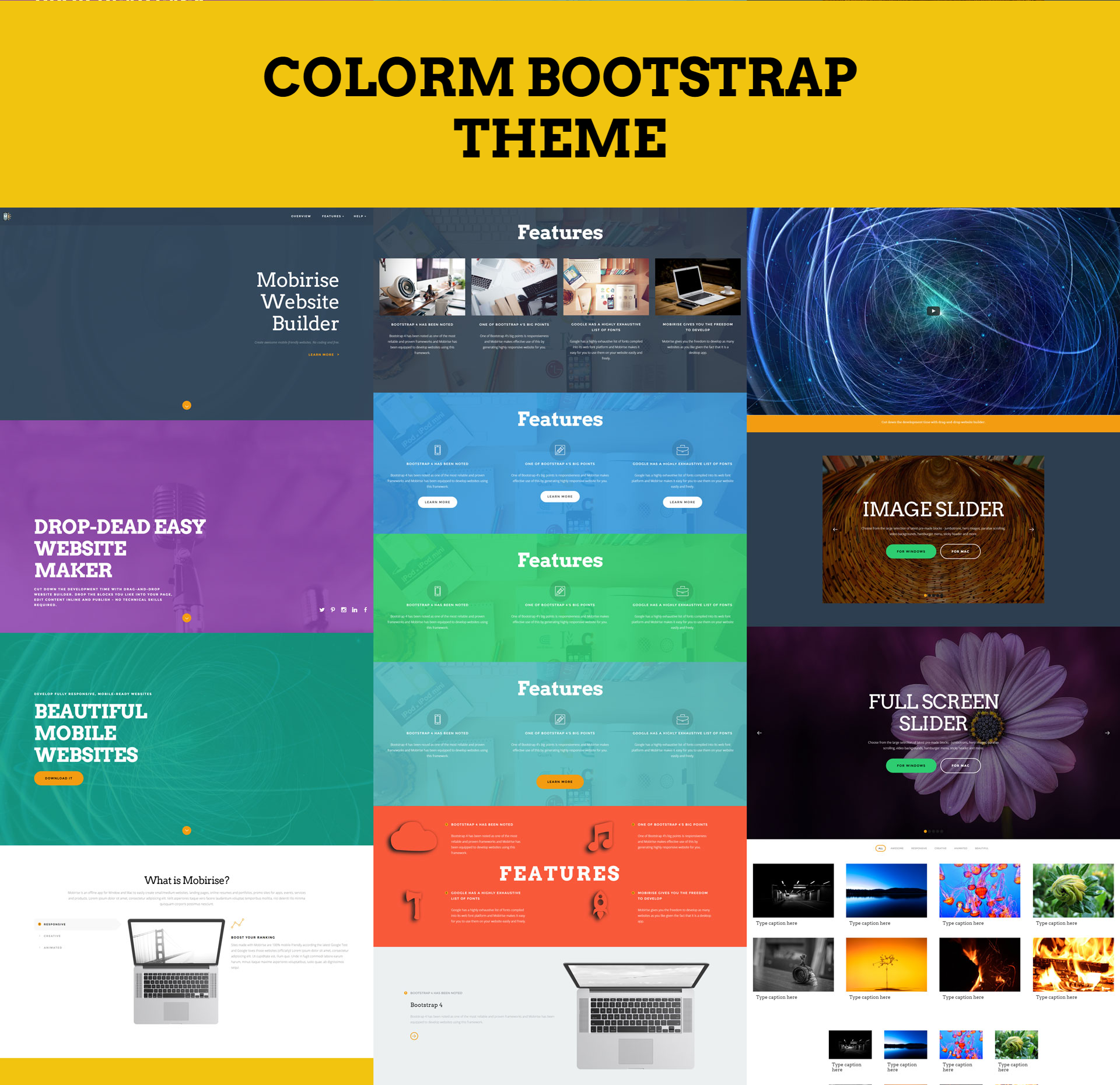 Free Bootstrap ColorM Themes