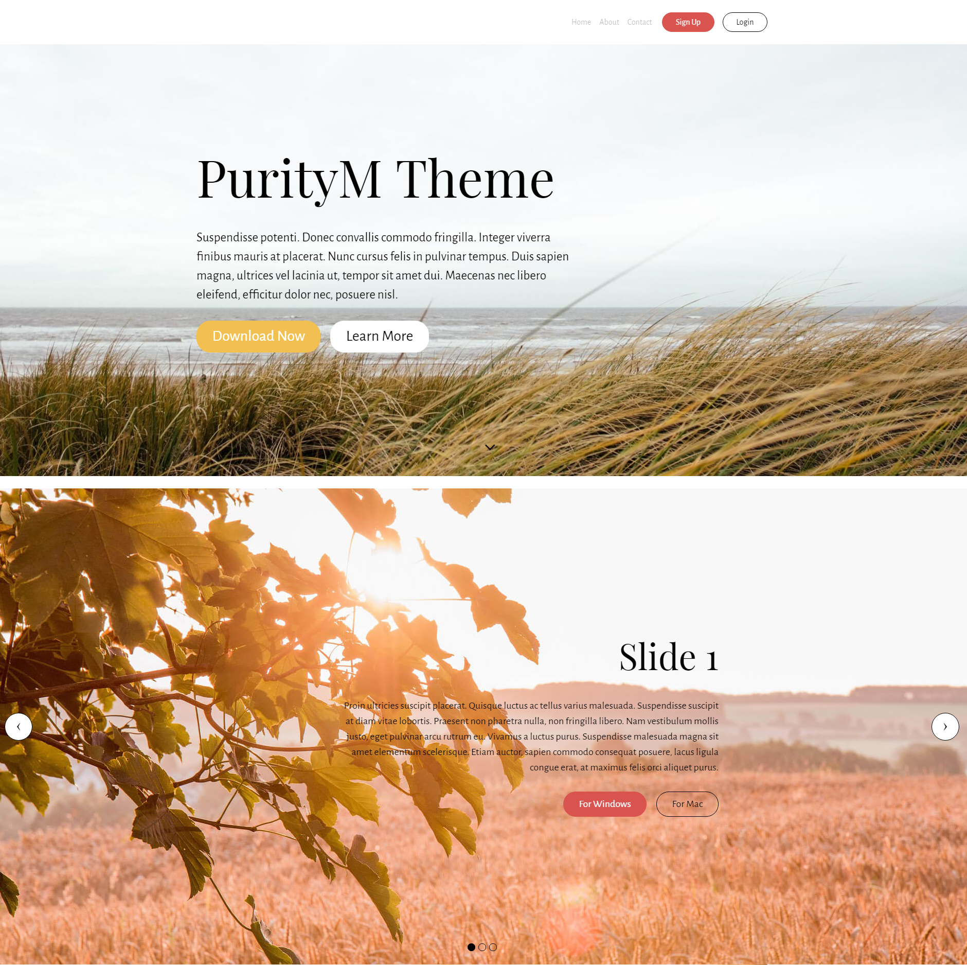 CSS3 Bootstrap PurityM Templates