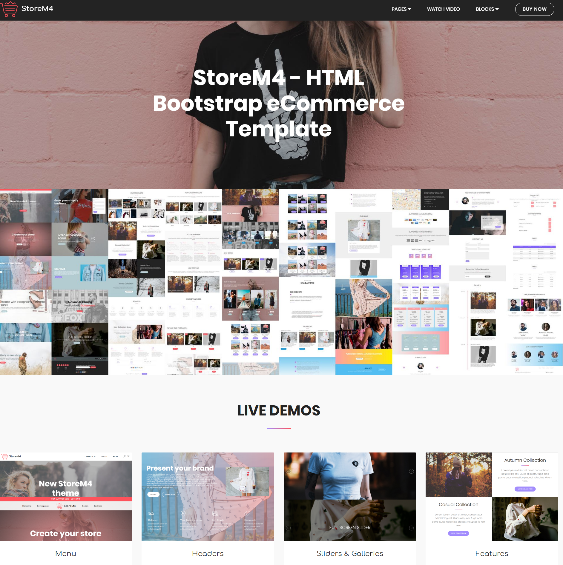 Responsive Bootstrap Storem4 Themes