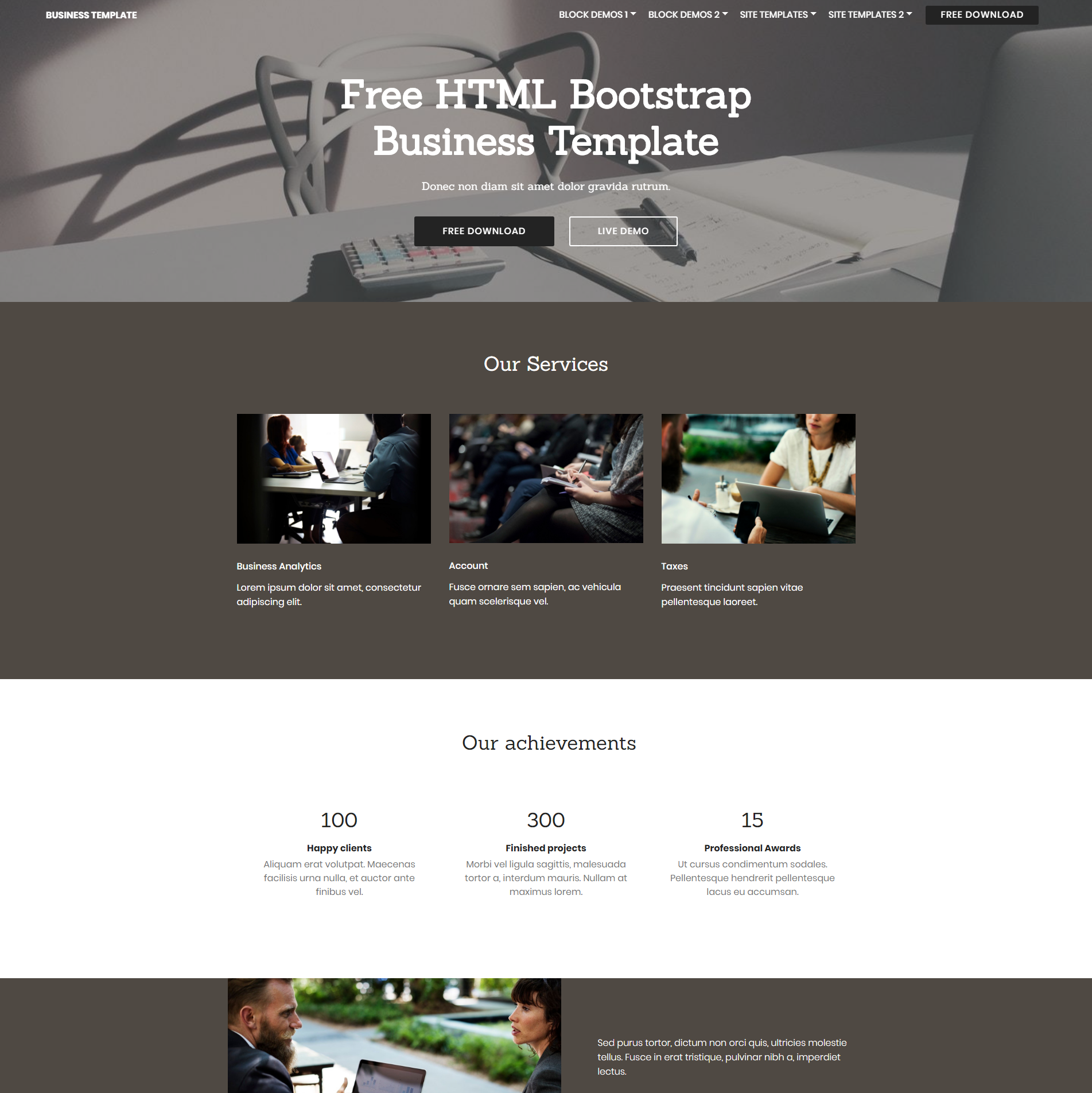 CSS3 Bootstrap Business Templates